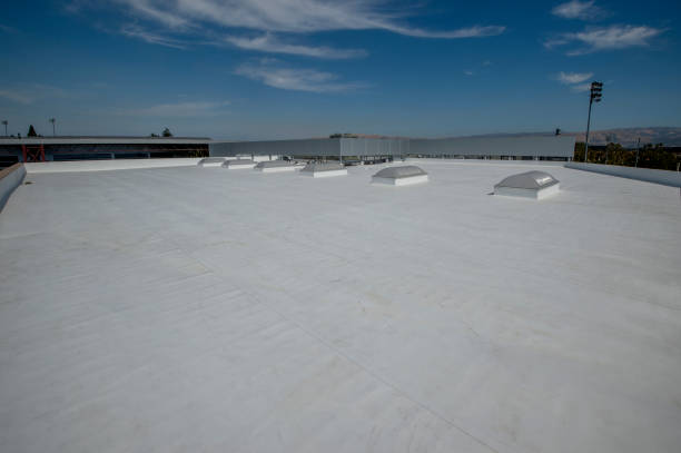 Best Steel Roofing  in Terryville, CT